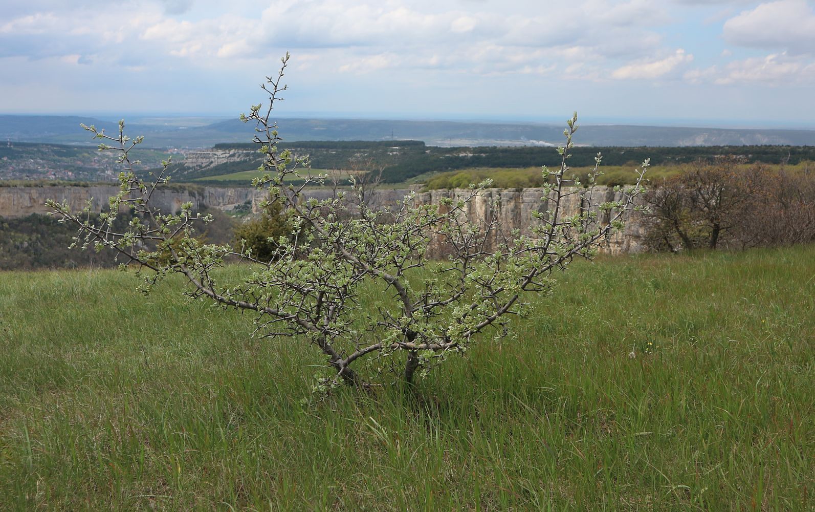 Бахчисарай и окрестности, image of landscape/habitat.