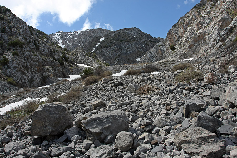 Ущелье Иргайлы, image of landscape/habitat.