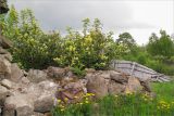 Image of landscape