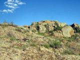 Image of landscape