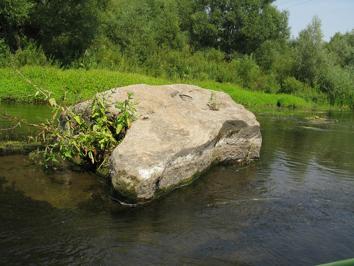 Нижнее течение реки Усожа 1, image of landscape/habitat.