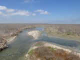 Заказник Присивашский, image of landscape/habitat.