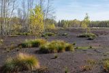Landscape image