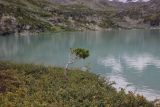 Image of landscape