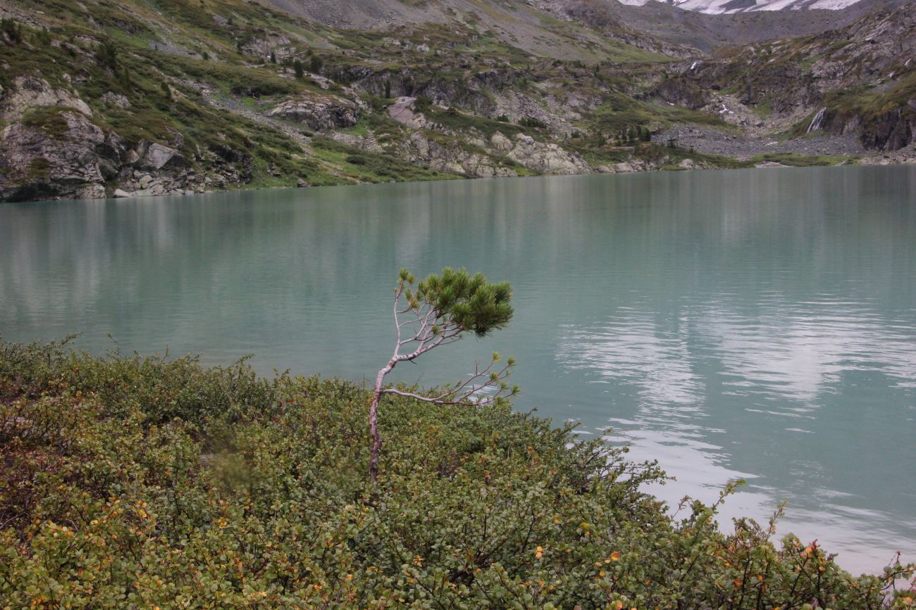 Долина реки Куйгук, image of landscape/habitat.