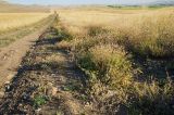 Image of landscape