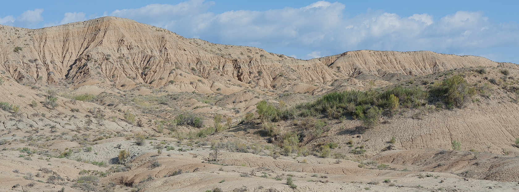 Горы Сырт, image of landscape/habitat.