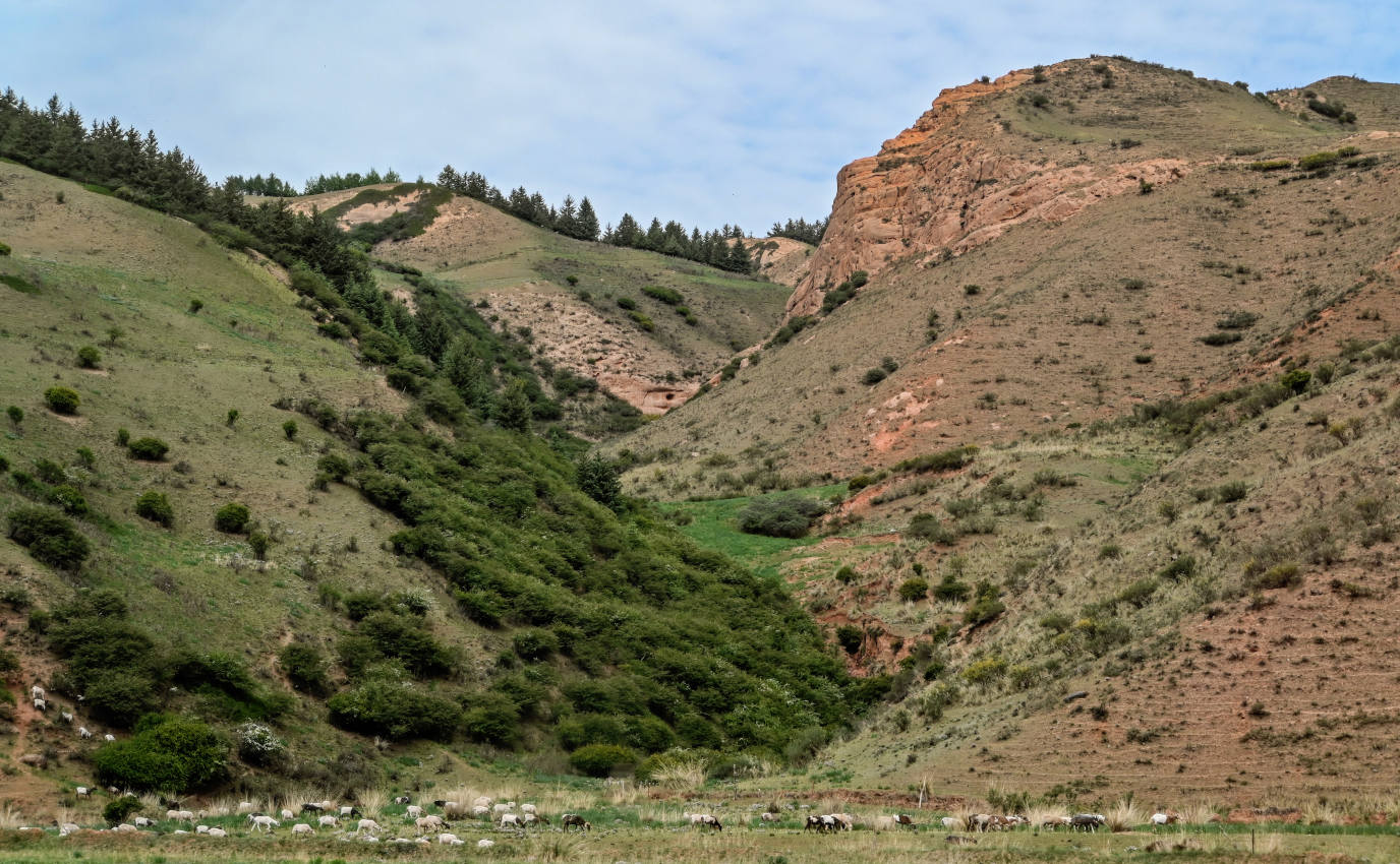 Долина Матисы, изображение ландшафта.