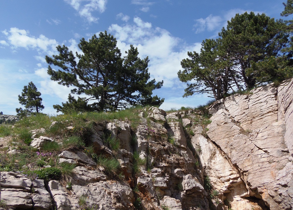 Ай-Петри, image of landscape/habitat.