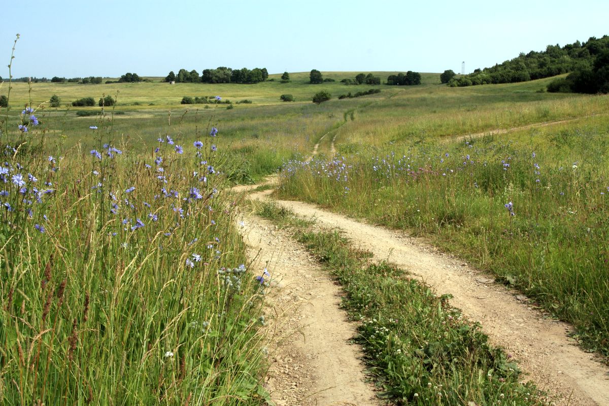 Кирхгофские высоты, image of landscape/habitat.