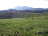 Image of landscape