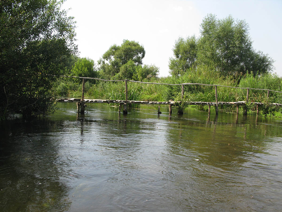 Нижнее течение реки Усожа 1, image of landscape/habitat.