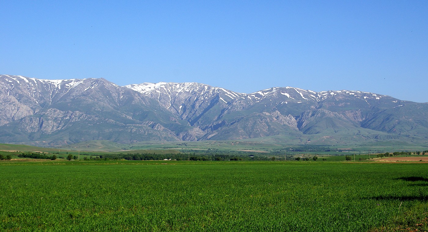 Бадам, image of landscape/habitat.