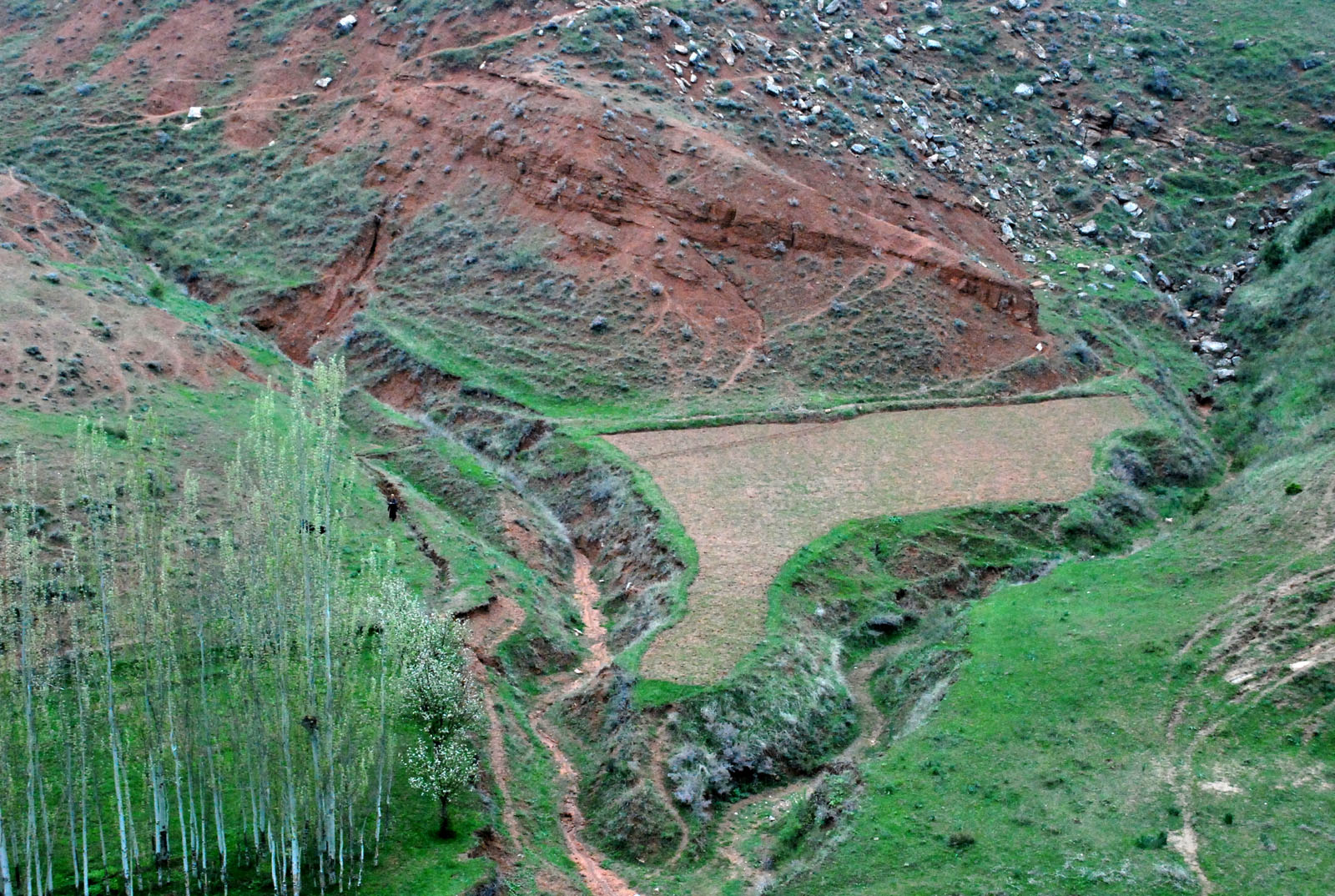Окрестности кишлака Хумман, image of landscape/habitat.