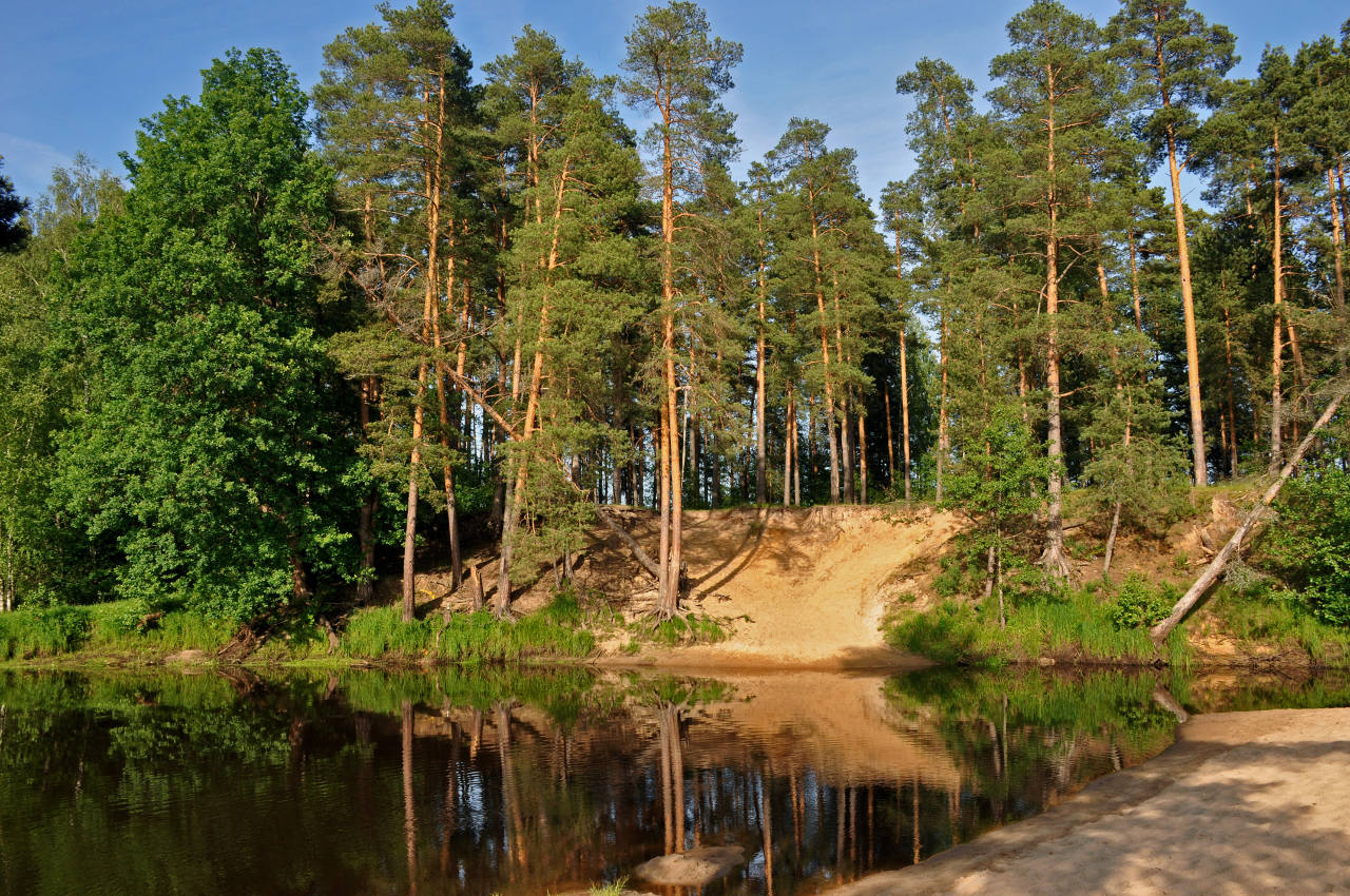 Долина реки Нерская, image of landscape/habitat.