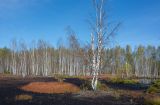 Landscape image