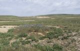 Булганакское сопочное поле, image of landscape/habitat.