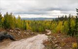 Пизанец, image of landscape/habitat.