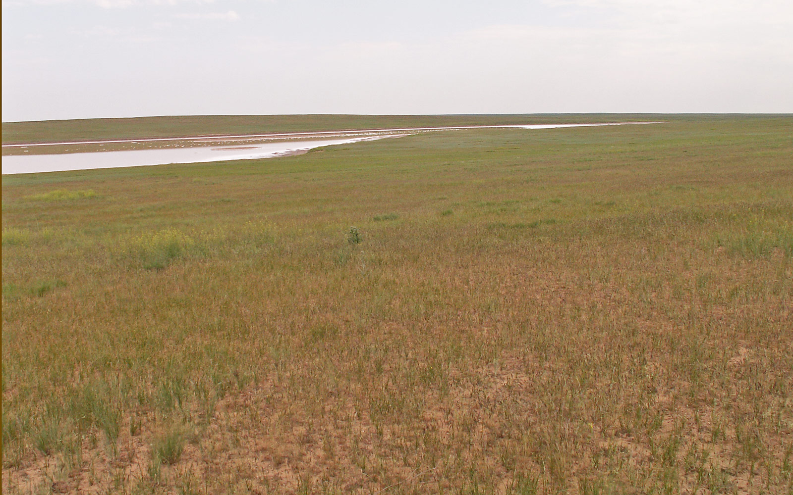 Пески Маштак, image of landscape/habitat.