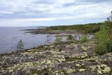 Image of landscape