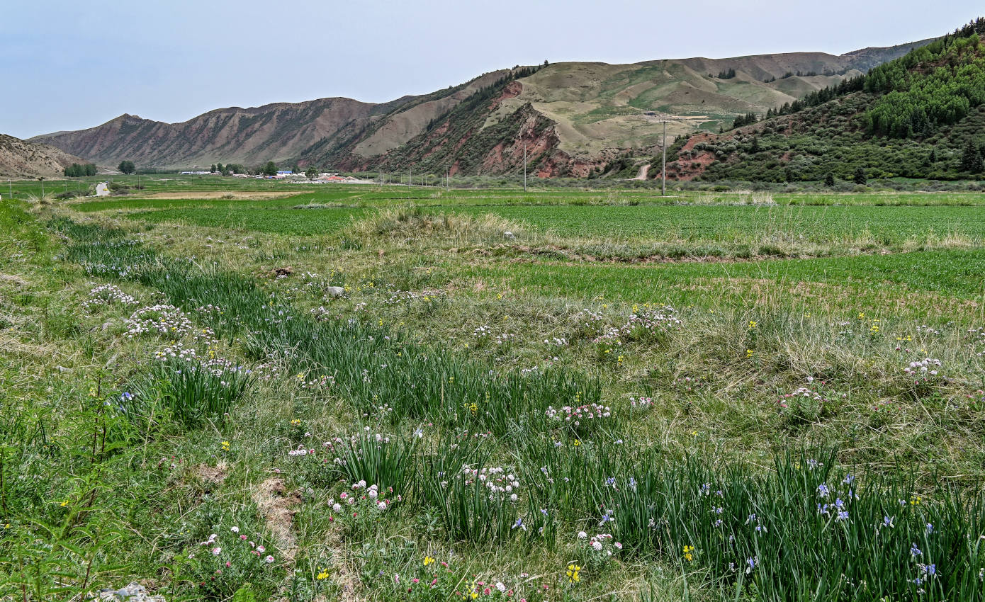 Долина Матисы, изображение ландшафта.