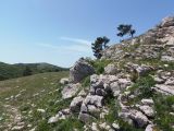 Ай-Петри, image of landscape/habitat.