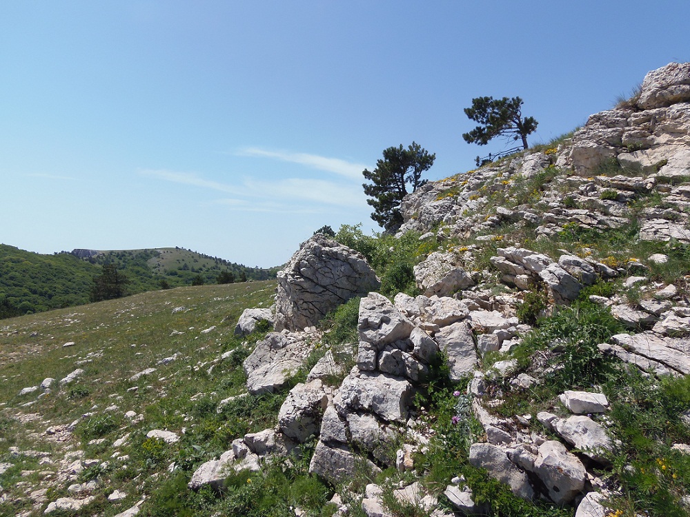 Ай-Петри, image of landscape/habitat.