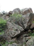 Image of landscape
