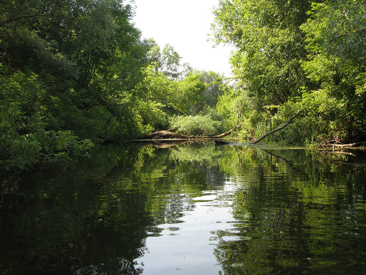 Нижнее течение реки Усожа 1, image of landscape/habitat.