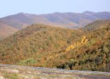 Андреевский перевал, image of landscape/habitat.