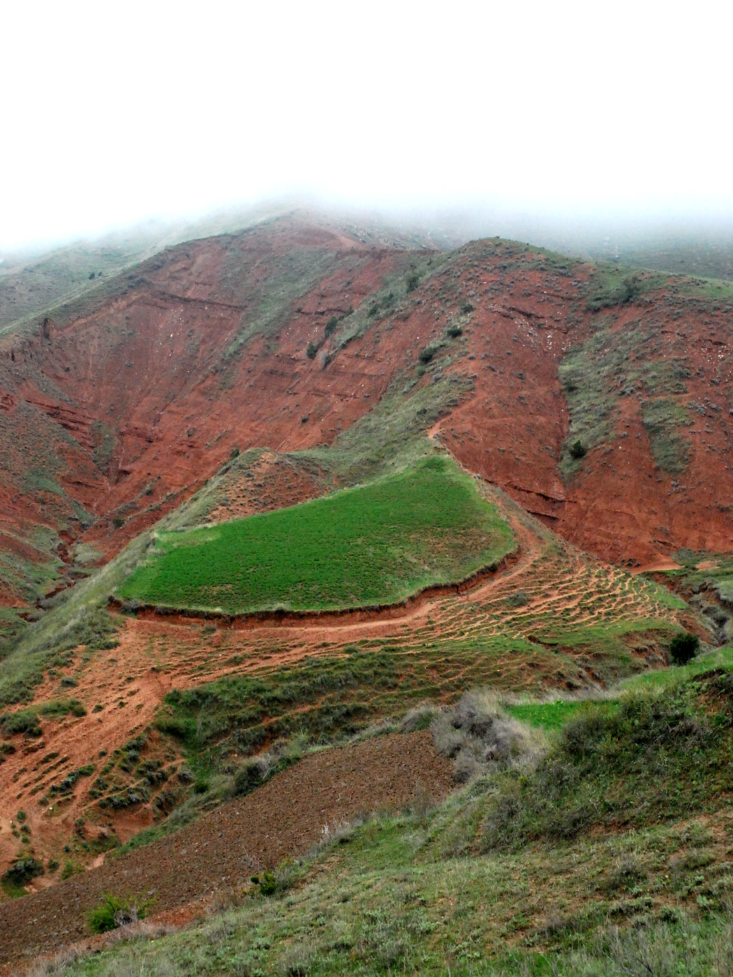 Окрестности кишлака Хумман, image of landscape/habitat.