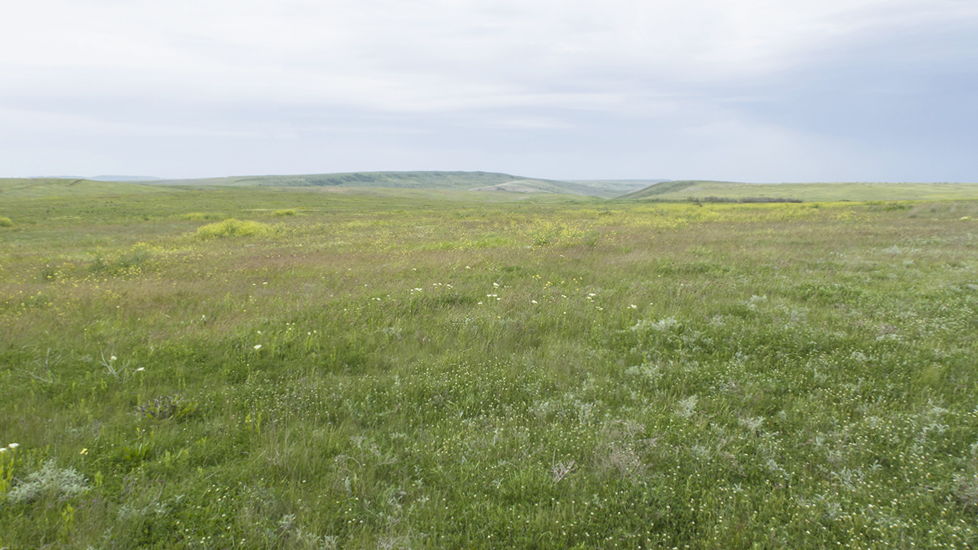 Осовинская степь, изображение ландшафта.