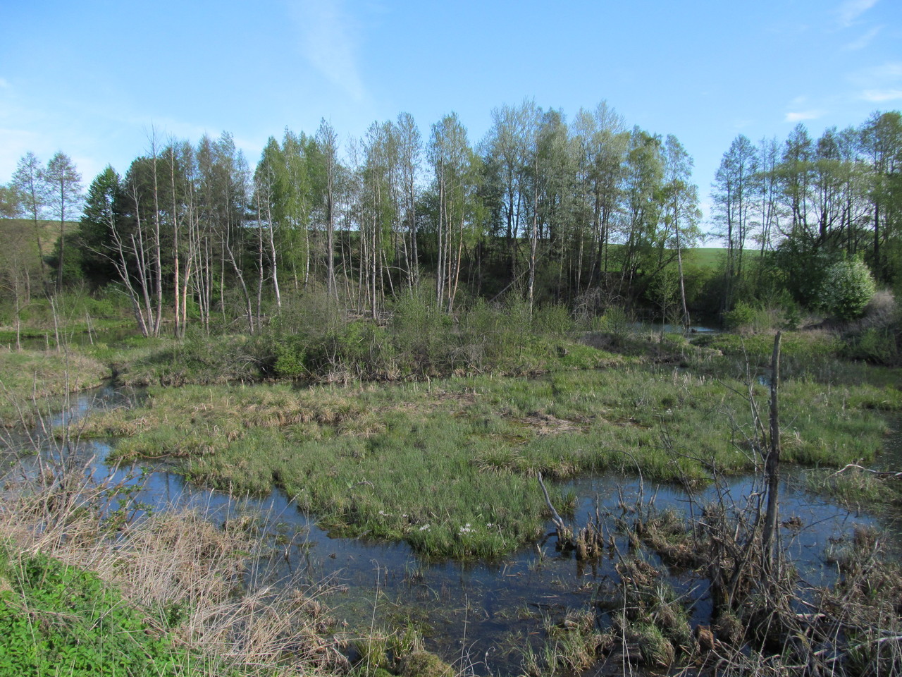 Мольничи, image of landscape/habitat.