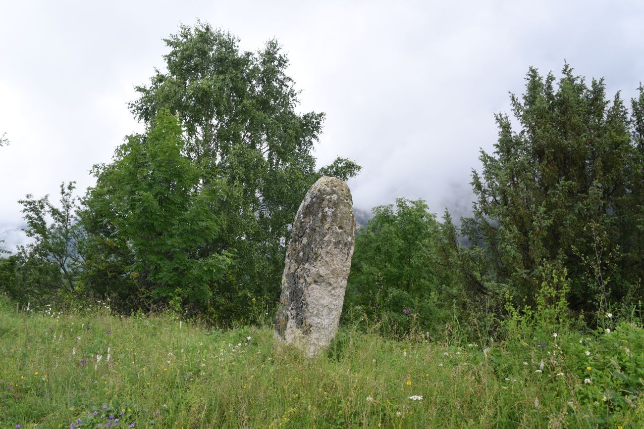 Окрестности урочища Нижний Лейми, image of landscape/habitat.