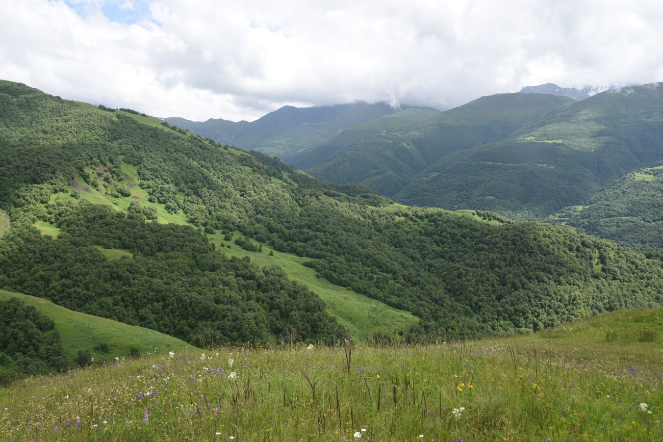 Хиндушты, image of landscape/habitat.