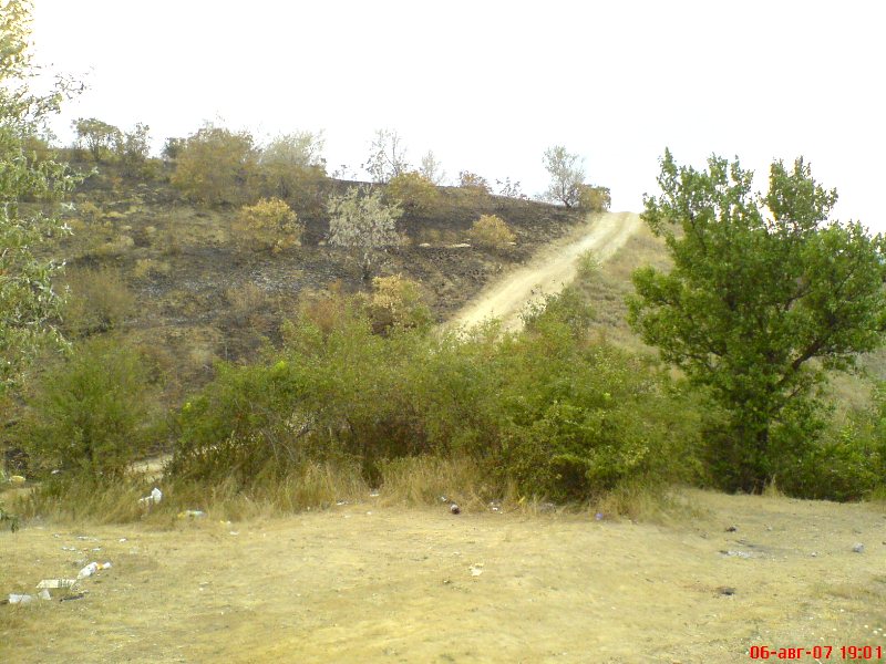 Хаджибейский лиман, изображение ландшафта.