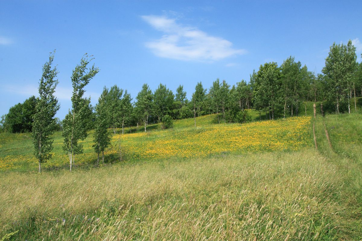 Кирхгофские высоты, изображение ландшафта.