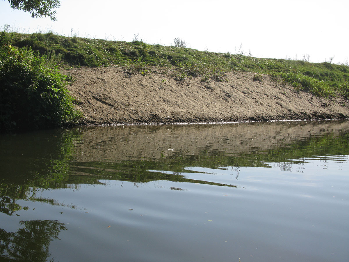 Нижнее течение реки Усожа 1, image of landscape/habitat.