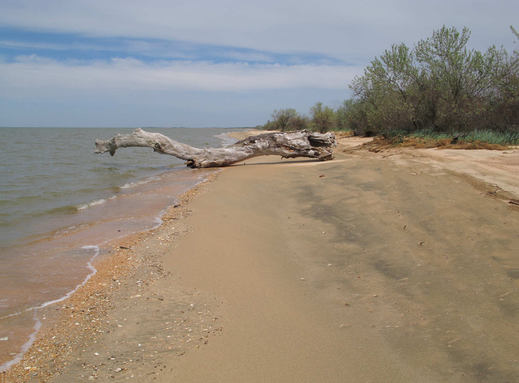 Куликовское гирло, image of landscape/habitat.