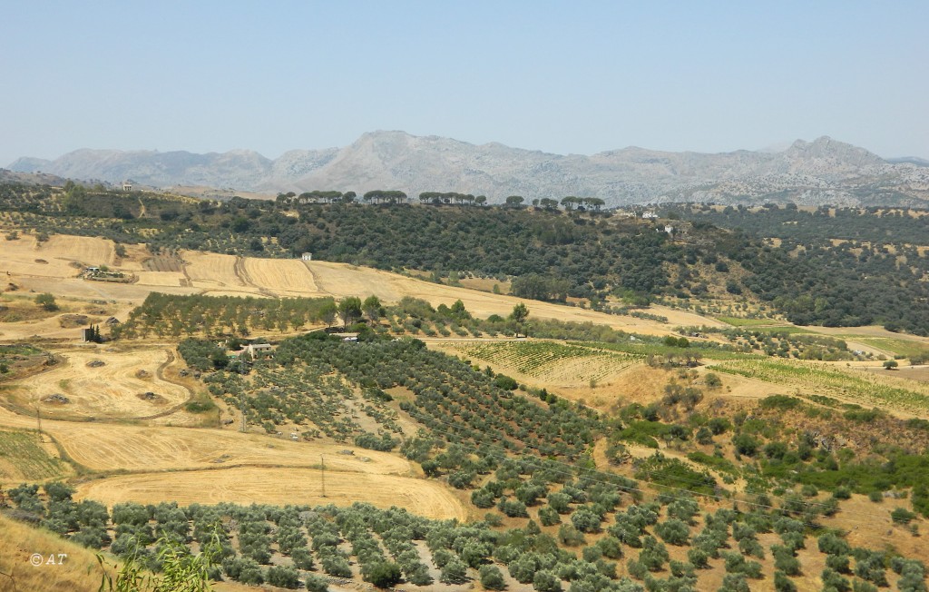 Ронда, image of landscape/habitat.