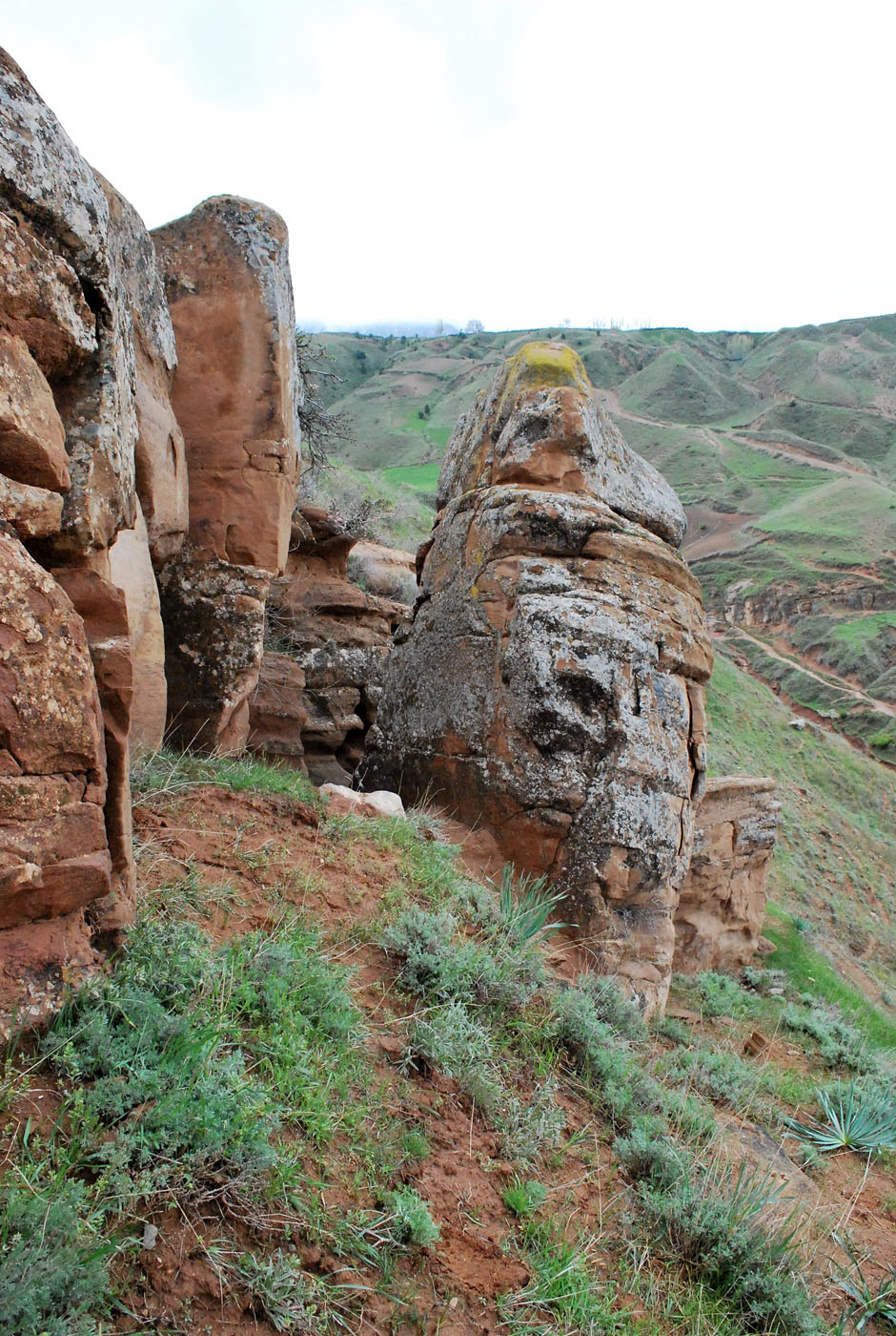 Окрестности кишлака Хумман, image of landscape/habitat.