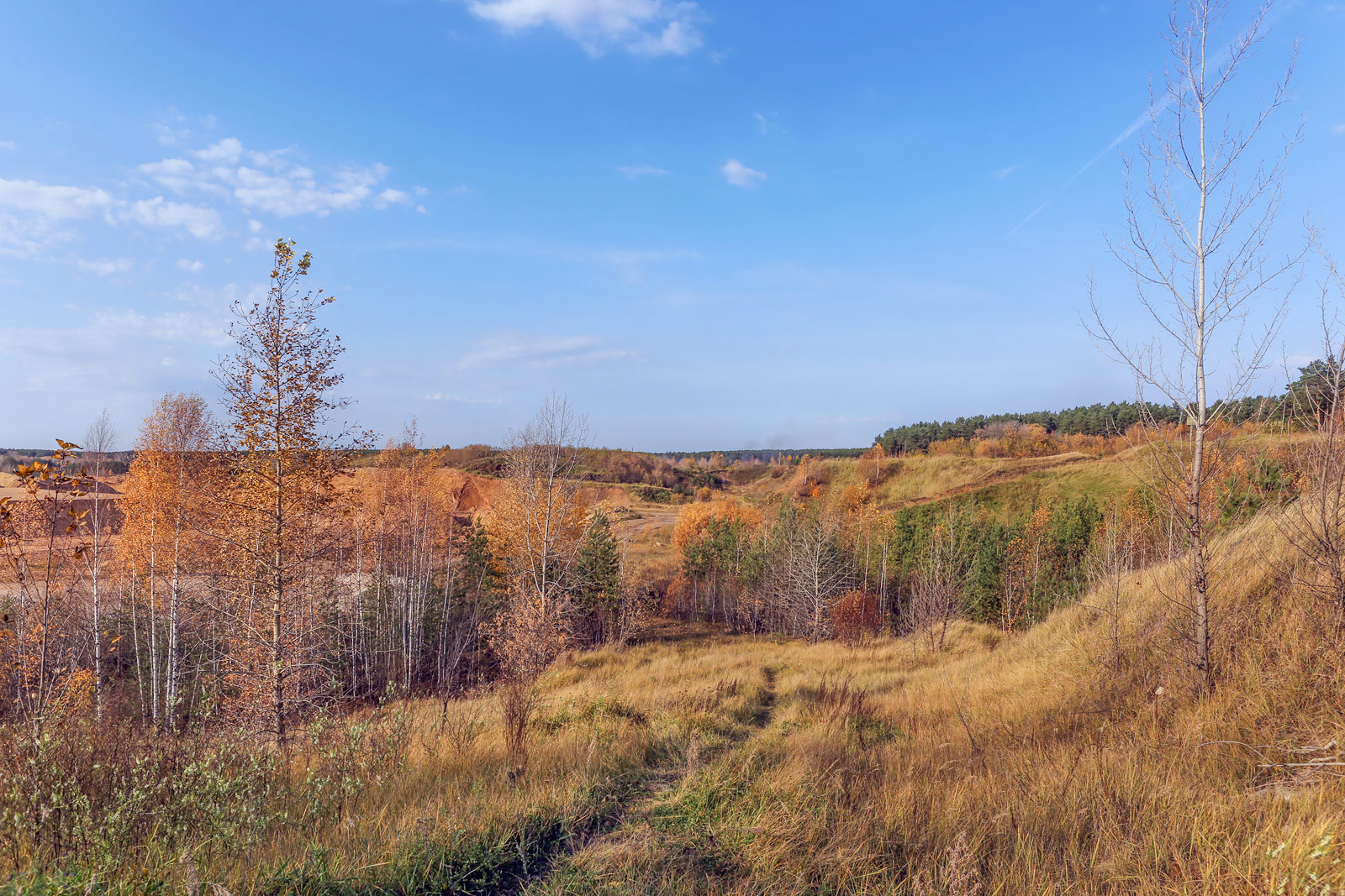 Песчаный карьер, image of landscape/habitat.