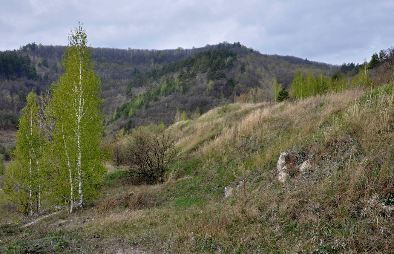 Попова гора, изображение ландшафта.