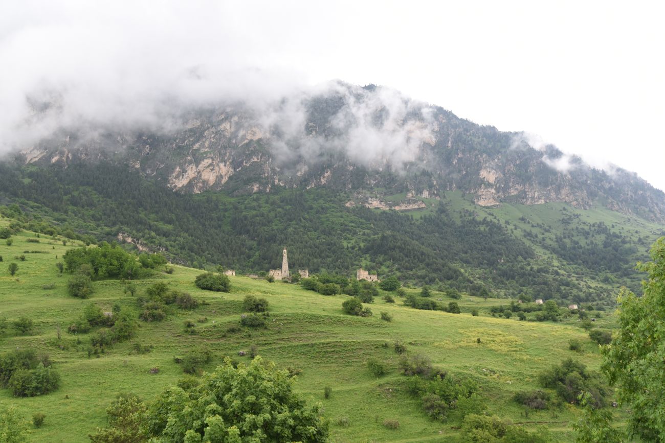 Верхний Лейми, image of landscape/habitat.