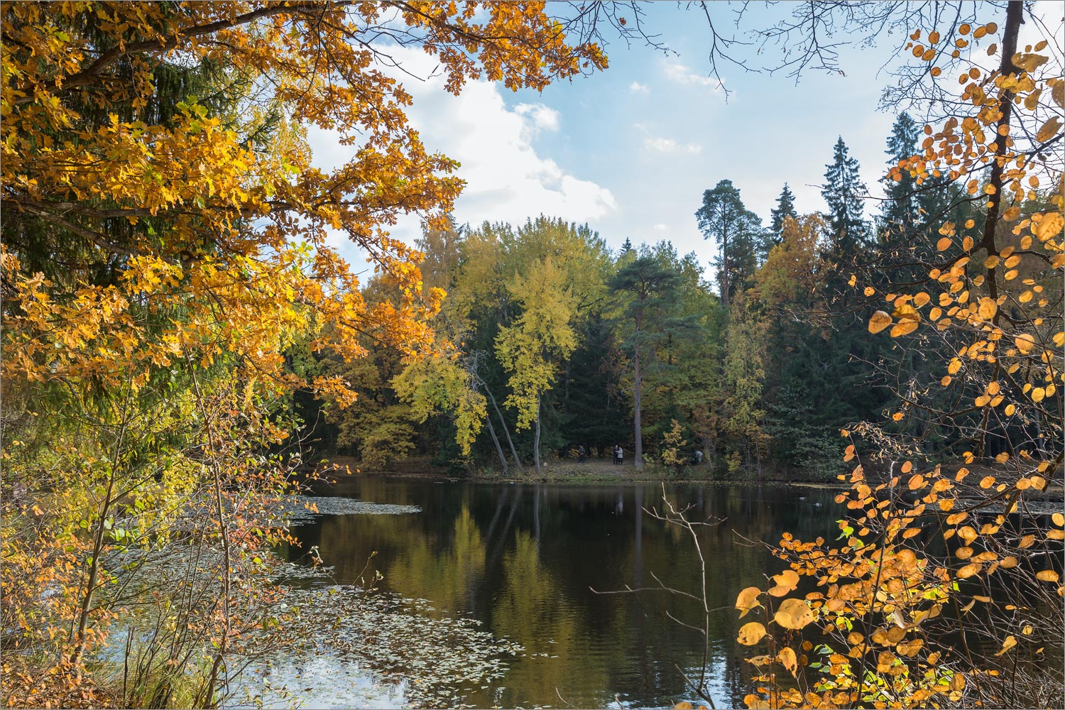 Парк "Сергиевка", image of landscape/habitat.
