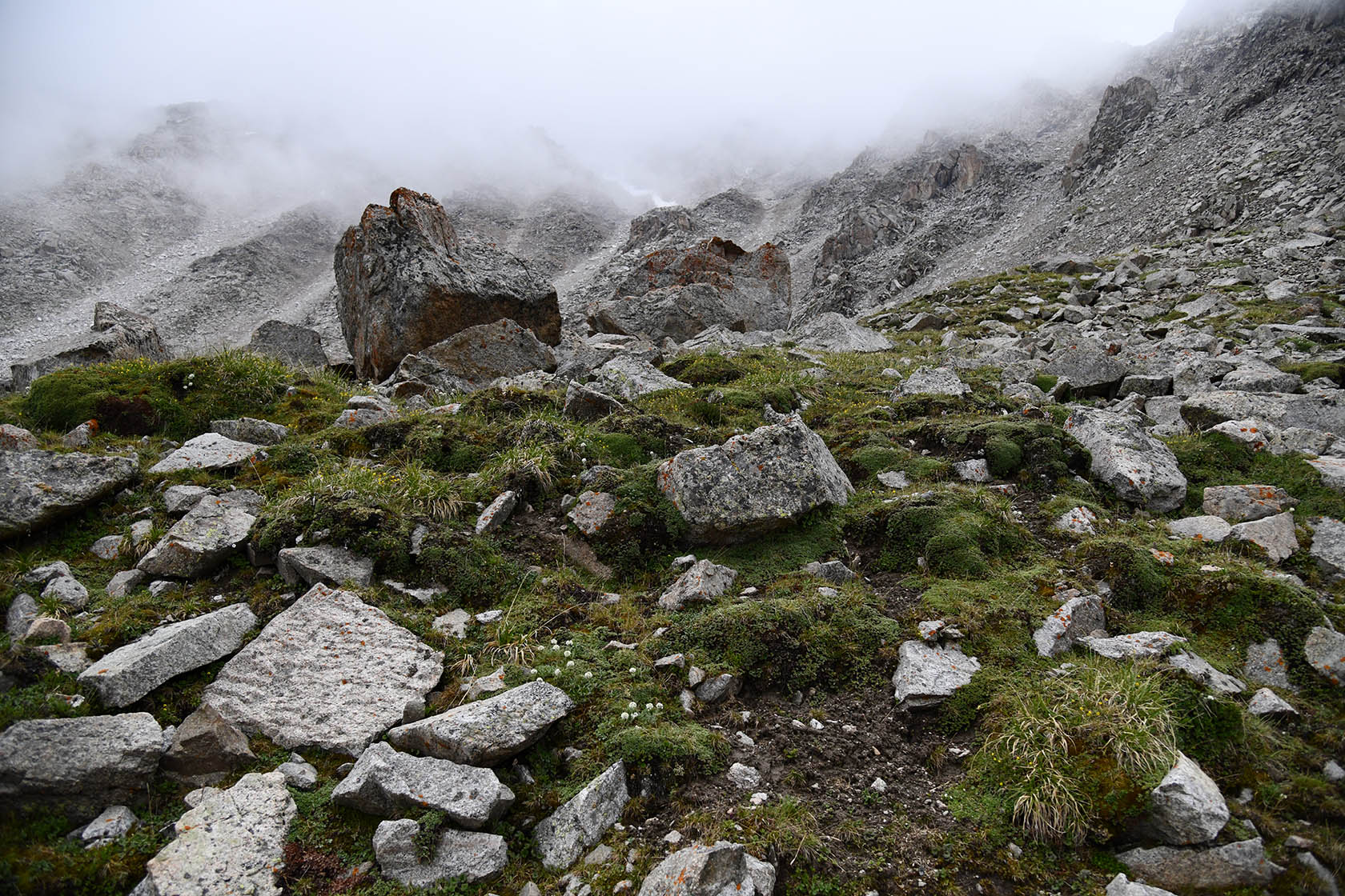 Большое Алматинское ущелье, image of landscape/habitat.