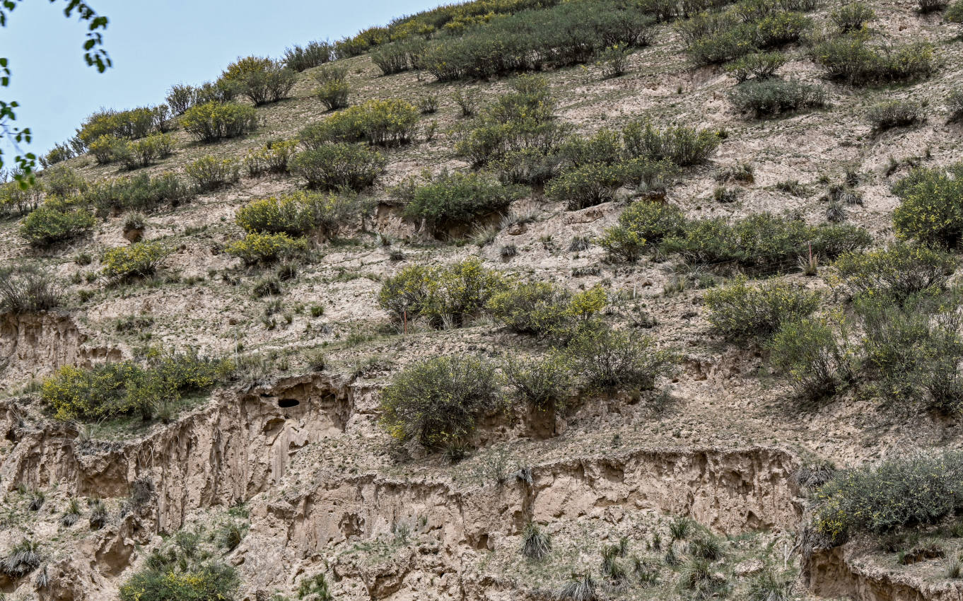 Долина Матисы, изображение ландшафта.