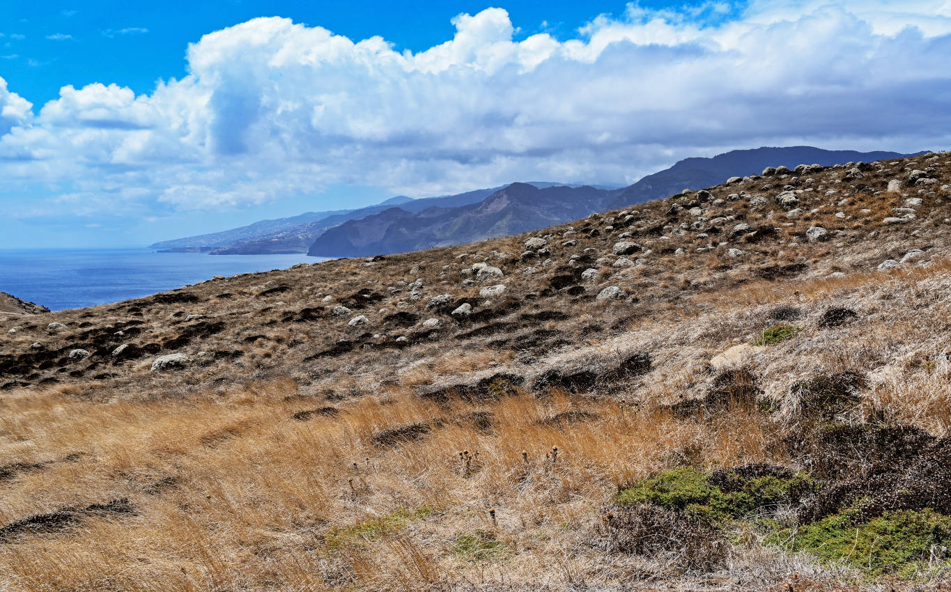 Понта-ду-Рошту, image of landscape/habitat.