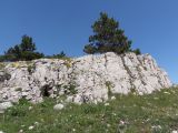 Image of landscape