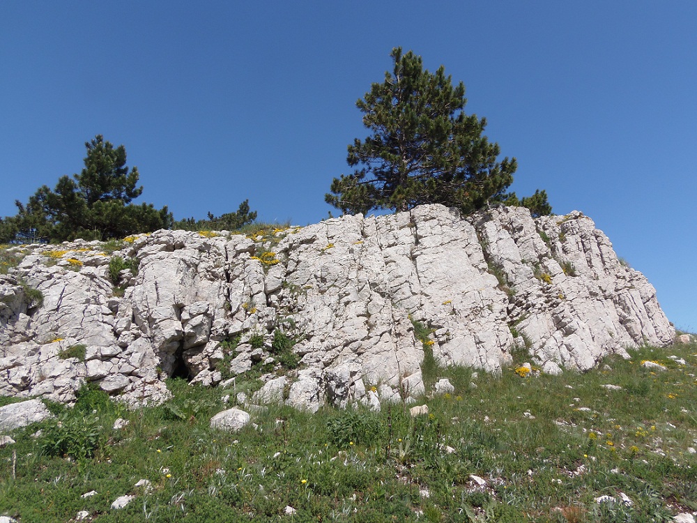 Ай-Петри, image of landscape/habitat.